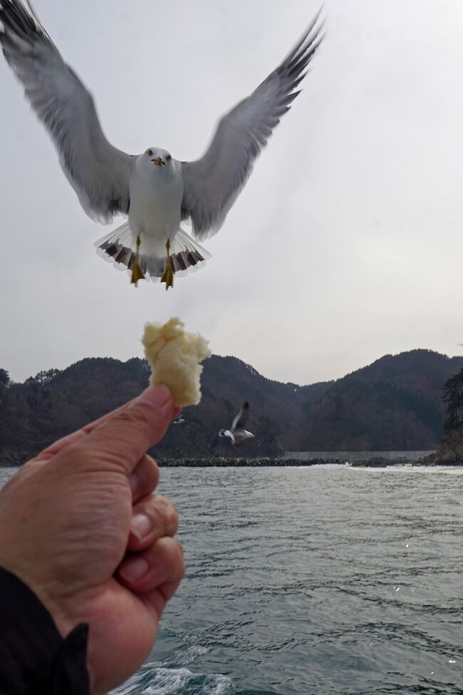 トラピックス 三陸海岸大縦断と食の宝庫の味覚を食す3日間の旅
