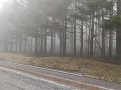 御射鹿池を後にして、白樺湖、蓼科を通る頃には雨( ´△｀)さらに霧で前を走る車のバックライトが頼りに((( ；ﾟДﾟ)))