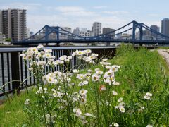 清洲橋