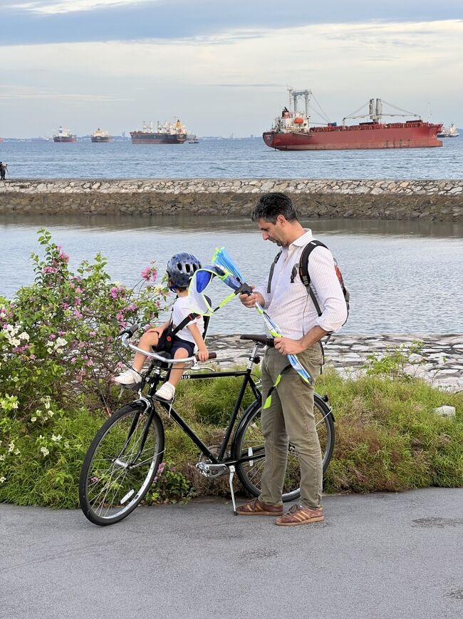 自転車こいで海を見に行く