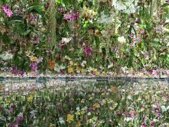 Floating Flower Garden: 花と我と同根、庭と我と一体

花々が、立体的に埋め尽くされた花の庭園である。
空間は花々で埋め尽くされているが、人がいる場所では、花が上がっていくことで、空間が生まれる。
そのため、人々は、花で埋め尽くされた塊の中を、自由な方向にゆっくりと歩き回ることができる。