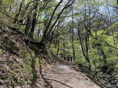 野鳥の森の散策へ。