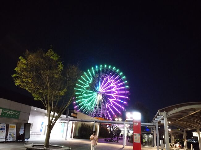 帰り道の刈谷SAで一休み。<br />すっかり暗くなりました。<br />次はどこに行こうかな♪