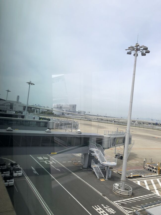 見る限り飛行機は搭乗予定のタイ航空以外に見当たりません。<br />本当に寂しい限りです。