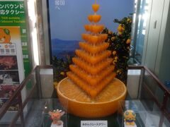 １時間半程で松山空港に到着～
人生初の愛媛県上陸です。
さすが、柑橘の県