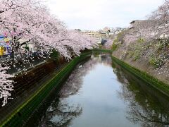 大岡川プロムナード