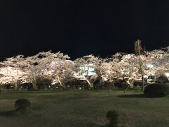 　公園の中へ入ってしばらくしてライトが消えました。
　ライトアップは午後8時30分まででした。残念