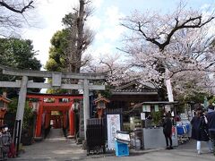 神社の周りも満開の桜
