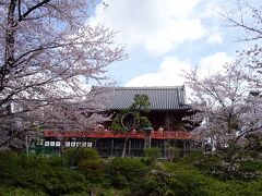 上方に目を向けると観音堂、その周りも桜が満開。
桜なしだと普段は目に留まらない神社や観音堂も、より風情があるように見えます。
