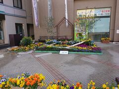 長野駅東口の自宅を9時半に出発。
15分ほど歩き、表参道まで出てきました。
JALシティ前にも花壇が出来ています。
