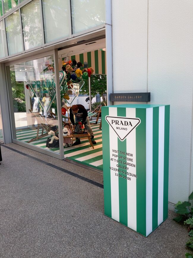 天気も良いのでウィンドウ　ショッピングも楽しいですね。