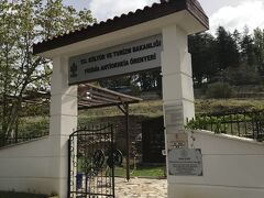 アンティオキア遺跡