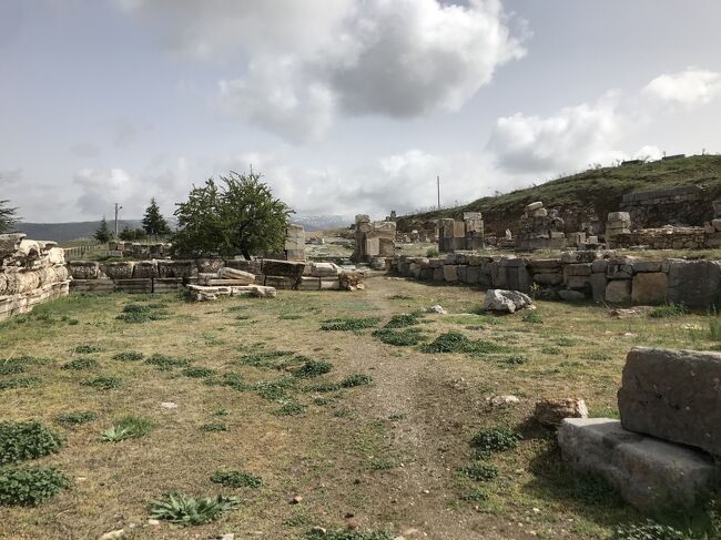 ピシディアのアンティオキア