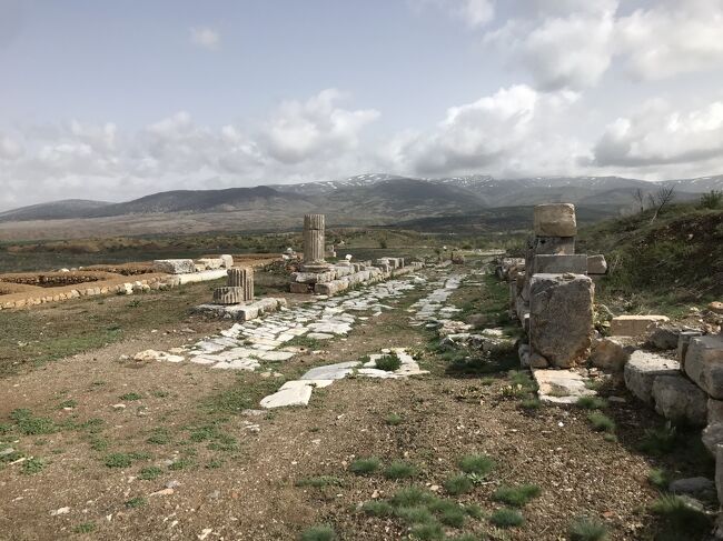 ピシディアのアンティオキア