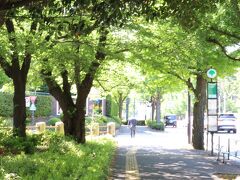 散歩していて気持ち良いです