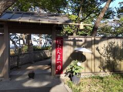 旧伊藤博文金沢別邸の庭園で恒例のぼたんまつりが開催された。以前は開催時期はGWだったが気候の温暖化に応じて4月前半に早まっている。