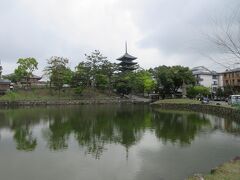 愛知の自宅から名阪国道経由で奈良に。猿沢池付近に駐車。
確か中学校の修学旅行でこの付近の旅館に泊まった記憶があります。