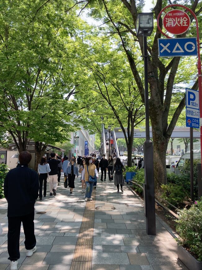 久しぶりに表参道を散策。新緑が気持ちいい。結局　ウィンドウショッピングだけで何も買いませんでした。