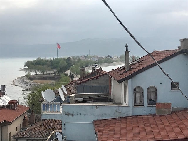 屋上テラスからの写真