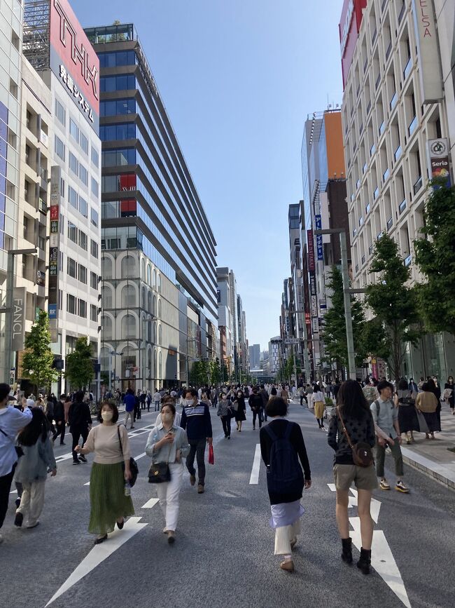 天気が良くて散策してても気持ちいい。