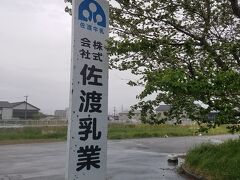 佐渡乳業にきました。
雨よりも風の強さに参って
自転車乗れないくらいの風！
ほぼ徒歩で来ました。
本当に寒くて疲れた！