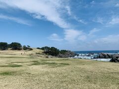 通りを渡ると
広がる天然芝地

まだ緑が少ないけど歩くとふかふか
気持ちいい～