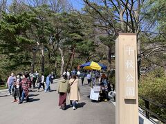 千秋公園
現在は名勝に指定されて公園になってます

今日は快晴のお花見日和
両側に屋台がでて、すごい賑わい