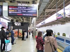 17：43　バスを下車してから11分後の新幹線ひかり号自由席に飛び乗り、
4泊5日のハードスケジュールだった、2022桜の名古屋・犬山の旅を終えます　(^^;


①【初日　2022/3/30（水）】晴れ
自宅最寄駅を始発で発つ　
09：01 名古屋駅着
09：38 クックタウンでモーニング   
10：24 カフェ・ド・SaRaでモーニング　
11：29 五条橋
11：46 名古屋東照宮・那古野神社
12：02 県庁舎、市庁舎
12：14 きしめん山田屋
13：03 名古屋城
18：30 名古屋城ライトアップ
19：45 久屋大通公園
20：20 鳥銀本店で名古屋コーチン  
22：45 ヴィアイン名古屋駅前椿町泊

②【２日目　3/31（木）】晴れ
06：30 ホテルにて朝食
08：06 清洲公園
09：00 清洲城　
10：30 宮きしめん 神宮店　
11：30 熱田神宮
12：15 白鳥庭園
13：00 蓬莱軒でひつまぶしランチ　
15：20 岡崎城
18：00 岡崎公園ライトアップ
20：10 山本屋本店大門本店で味噌煮込うどん
21：30 ヴィアイン名古屋駅前椿町連泊

③【３日目　4/1（金）】晴れ
06：30 ホテルにて朝食
09：41 明治村
16：00 明治村バス停発
18：30 古民家レストラン：フレンチ奥村邸
19：50 ミュースタイル犬山エクスペリエンス泊

④【４日目　4/2（土）】晴れ
06：30 ホテルにて朝食
08：00 成田山名古屋別院大聖寺
09：40 国宝犬山城 
11：00 豆腐かふぇ浦嶌にて玉手箱ランチ
12：15 有楽苑  国宝如庵ほか
13：40 犬山祭の車山を各町内にて見学
18：30 夜車山
20：00 犬山ミヤコホテル泊

⑤【５日目　4/3（日）】雨のち曇り
08：30 車山９輌犬山城前広場集結は雨天中止
10：00 パブレスト百万ドルでモーニング　
13：07 徳川園 ＆ 徳川美術館
14：50 矢場とん矢場町本店で味噌カツ丼
16：00 世界の山ちゃん本店で幻の手羽先
17：43 ひかり号にて帰宅