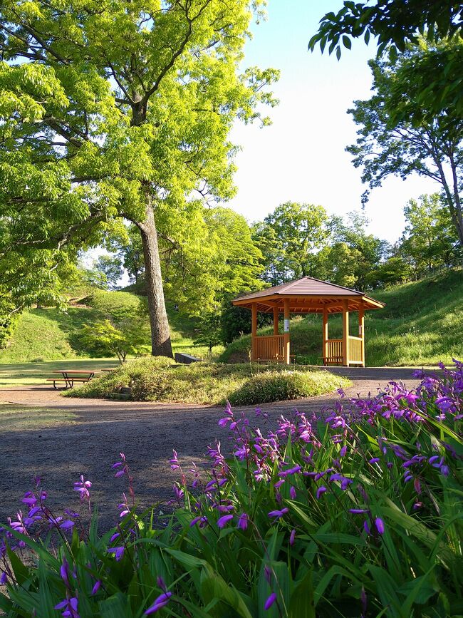 恐るべし大和朝廷!新沢千塚古墳群公園』橿原(奈良県)の旅行記 恐るべし大和朝廷!新沢千塚古墳群公園』橿原(奈良県)の旅行記
