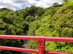 清和県民の森へ、