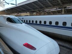 ひかり６４０号（新大阪７：３６　東京１０:４６）
東京駅に到着です！次々に新幹線が到着します！！