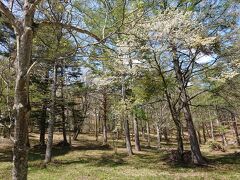 のんびりランチをいただいた後、元着た道を戻ります。