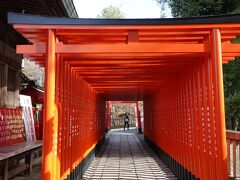 途中、隣接する三光稲荷神社の赤鳥居トンネルをくぐります。
神社の境がわからず、ややこしい。。。。

しかし日本の神社って中に他の神社があったり、お寺と融合していたりとかなり地涌奔放ですよね。