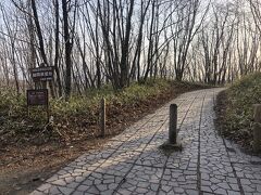 細岡展望台、あっという間やね。釧路湿原駅から10分もかからなかった。