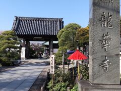 もうひとつの金沢区のぼたんの名所「龍華寺」へ移動。
赤い日傘が置かれているが参道の牡丹の見頃はまだのようだ。