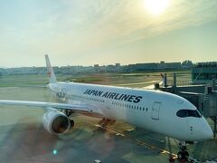 羽田空港を定刻に出発し、JAL#325で福岡空港にやって来ました。