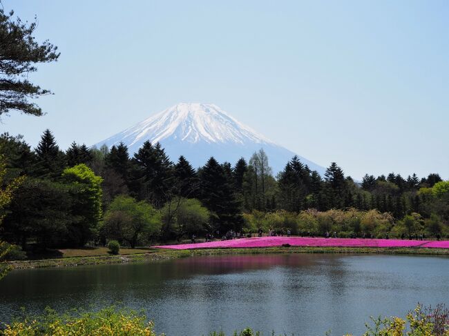 22年gw 富士山と芝桜が見たくて富士芝桜まつり 富士五湖 山梨県 の旅行記 ブログ By クサポンさん フォートラベル
