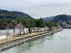 私はもう阿弥陀如来像をみて満足して帰るつもりでしたが、娘が宇治上神社にも行きたいというので、宇治川を渡って対岸に向かいます。
宇治は京都から比べるとだいぶ山の中という感じです。