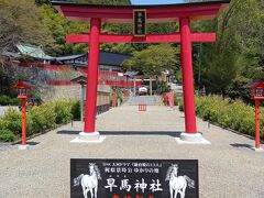 最後は早馬神社です。奥宮は唐桑半島の中央「早馬山」の山頂に、こちらは里宮で、舞根宿浦湾の入り江にあります。