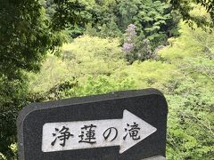 ついつい寄ってしまう　浄蓮の滝
天城越えの歌が耳に・・・
