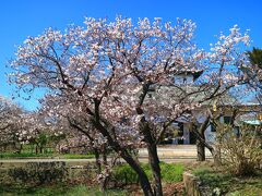 松前公園