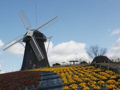 ●花博記念公園 鶴見緑地

どうしてここに来るかというと、ここです！
「風車の丘大花壇」がお気に入りのスポットだからです。