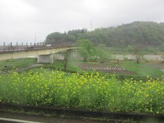 雨がどんどん強くなる。

千曲川が見えたけど、濁ってる？