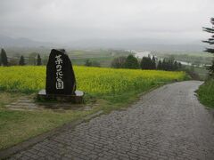 菜の花公園着。

8分咲きとのこと。