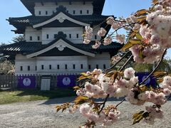 弘前城

ちょうど桜まつりが終わってしまった次の日でしたが、まだ少し桜を見ることが出来ました