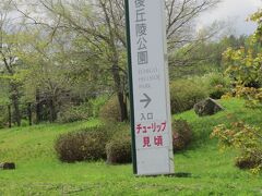 とにかく広い公園で、

「迷子にはならないぞ」と、決意。