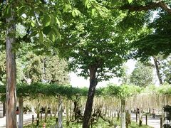 三大神社境内社白髭宮