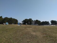 河津桜を堪能したあとは少し移動して芝生広場へやってきました。