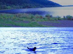 Derwent Water Lakeへも寄ってみます。
といってももう18時近く。
流石に人もまばらです。
でもこの静けさとこの天気が湖水地方の印象と合っている気もします。