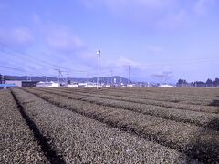 貴生川駅から甲賀市コミュニティバス大河原行きに乗り
白川橋バス停で降ります。
お茶処なので茶畑が広がります。